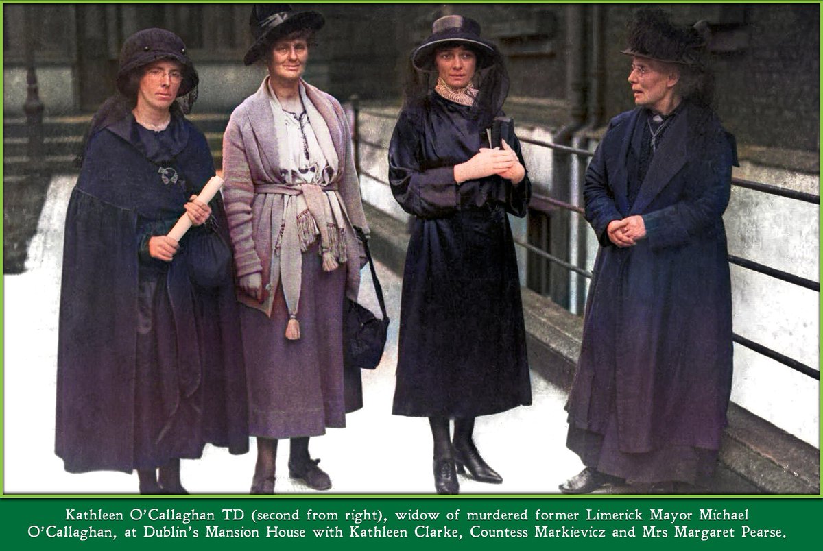 Limerick Museum tweet media