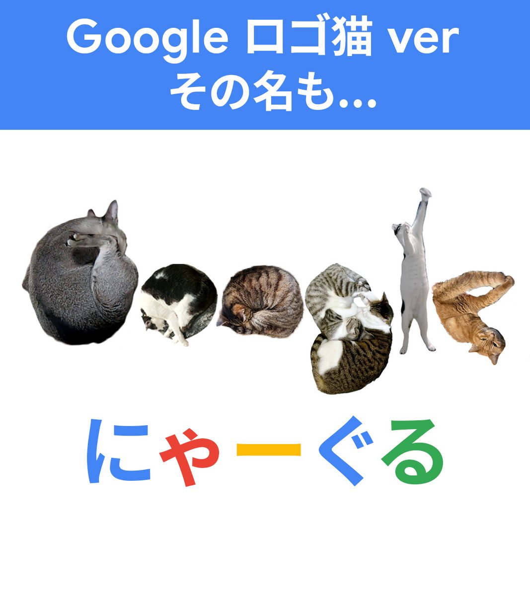 これはベストフィットじゃ！？ ご協力いただいたみなさまのおかげです