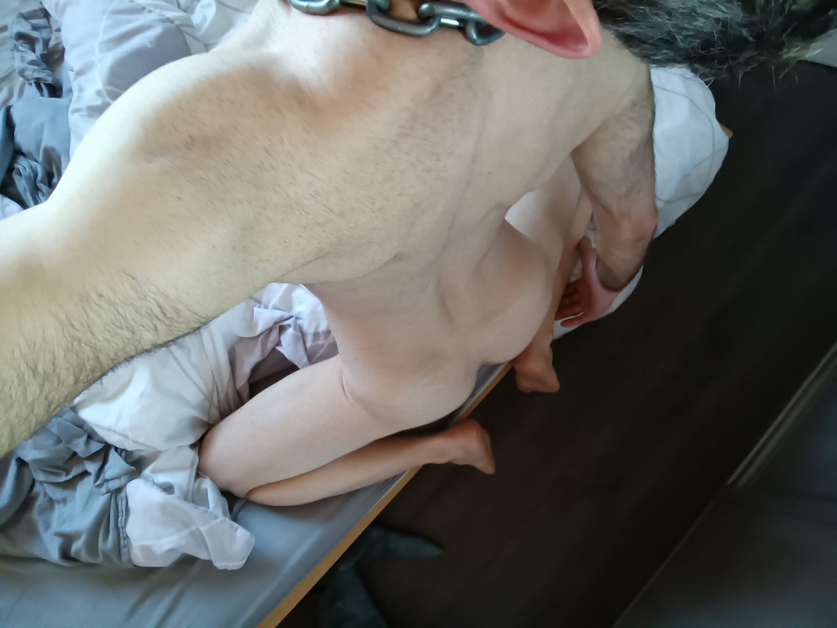 Pup_Prism tweet media