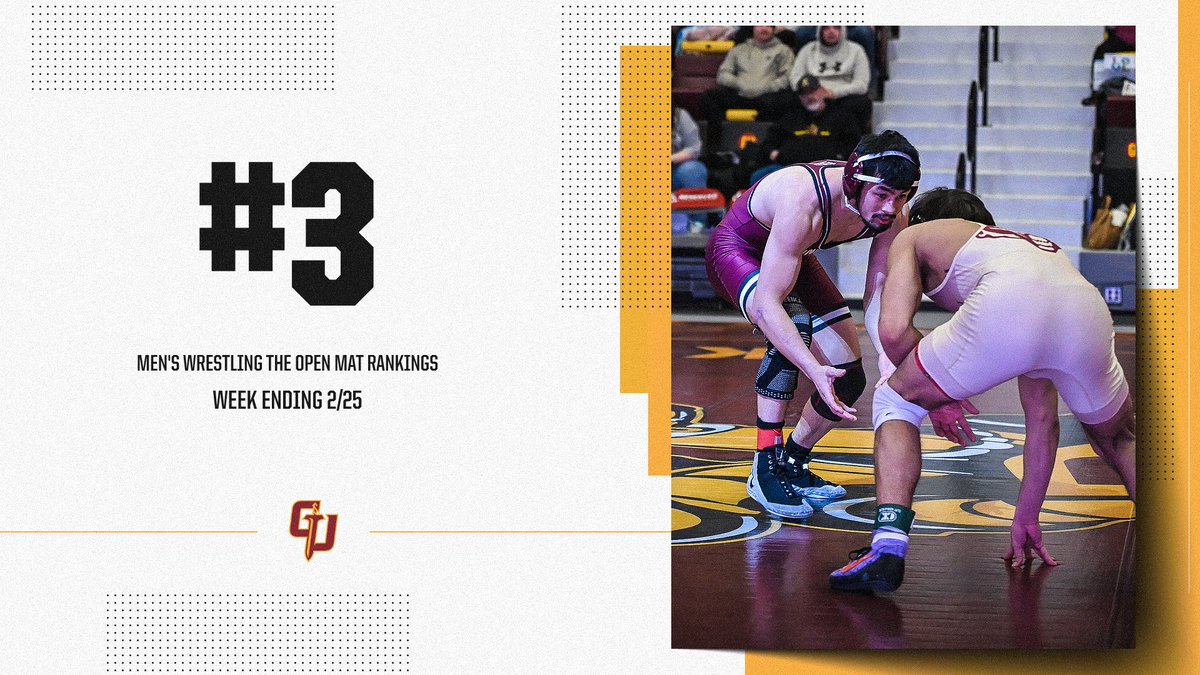Gannon WRESTLING tweet media