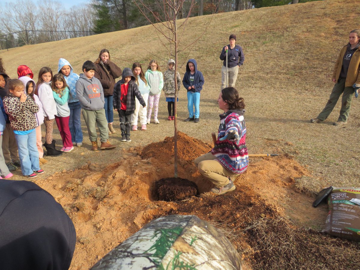 Tigerville ES tweet media