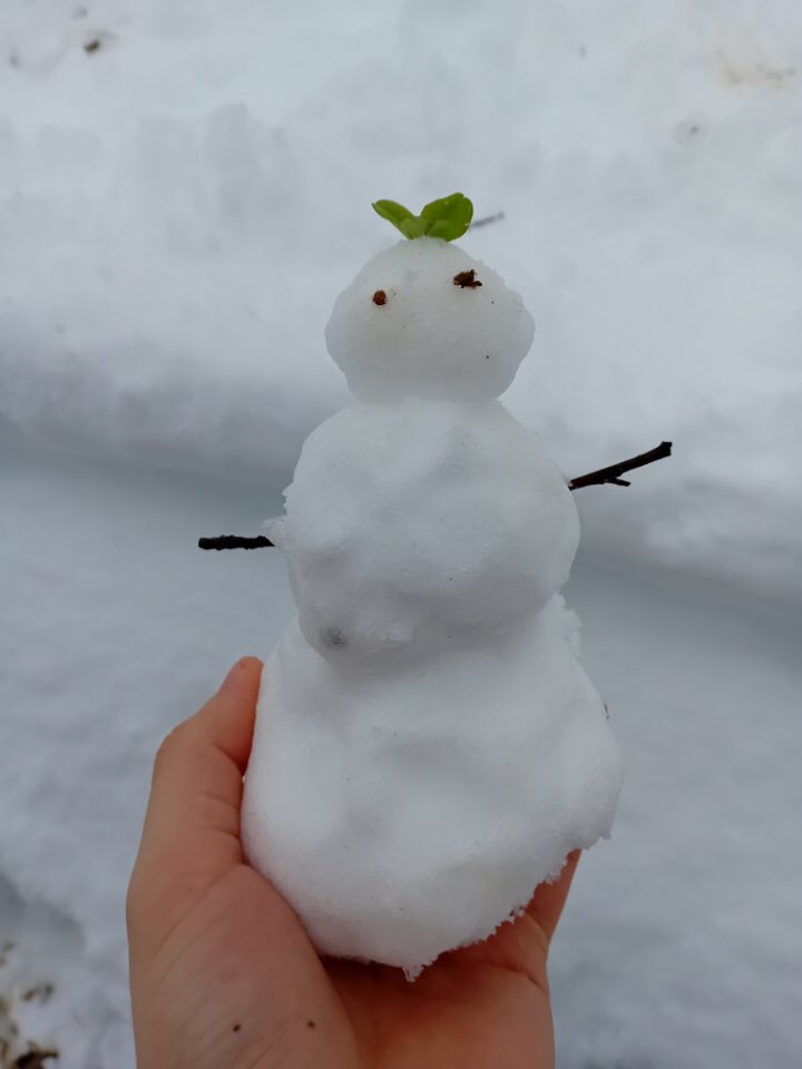 I made a Snowman! :D