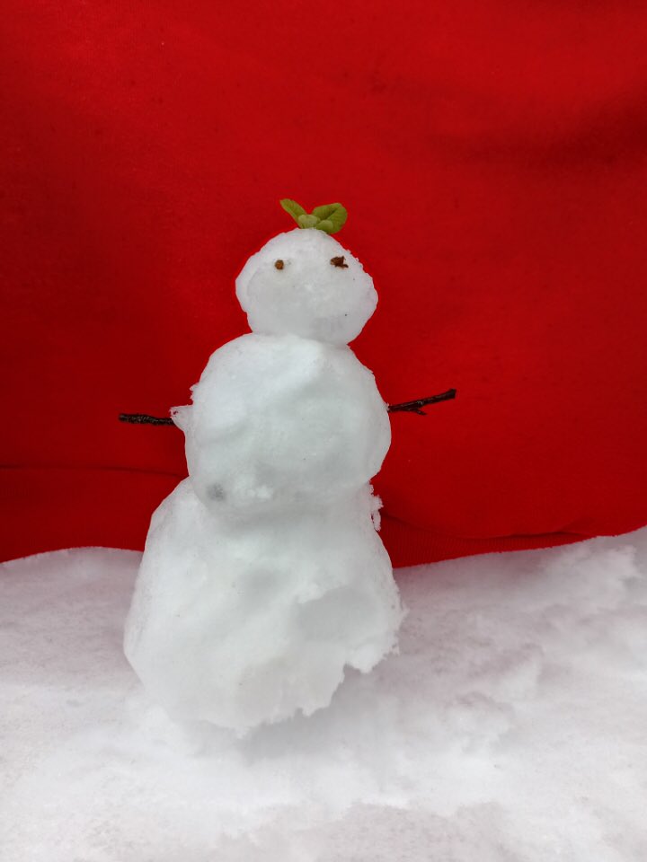 I made a Snowman! :D