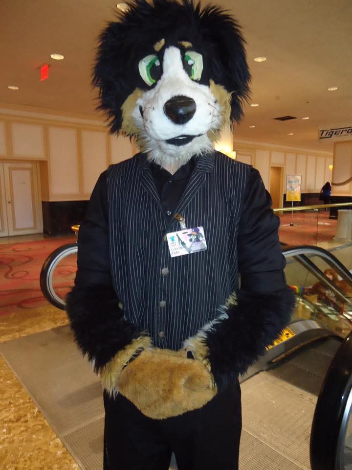 Zen Master Fido tweet media