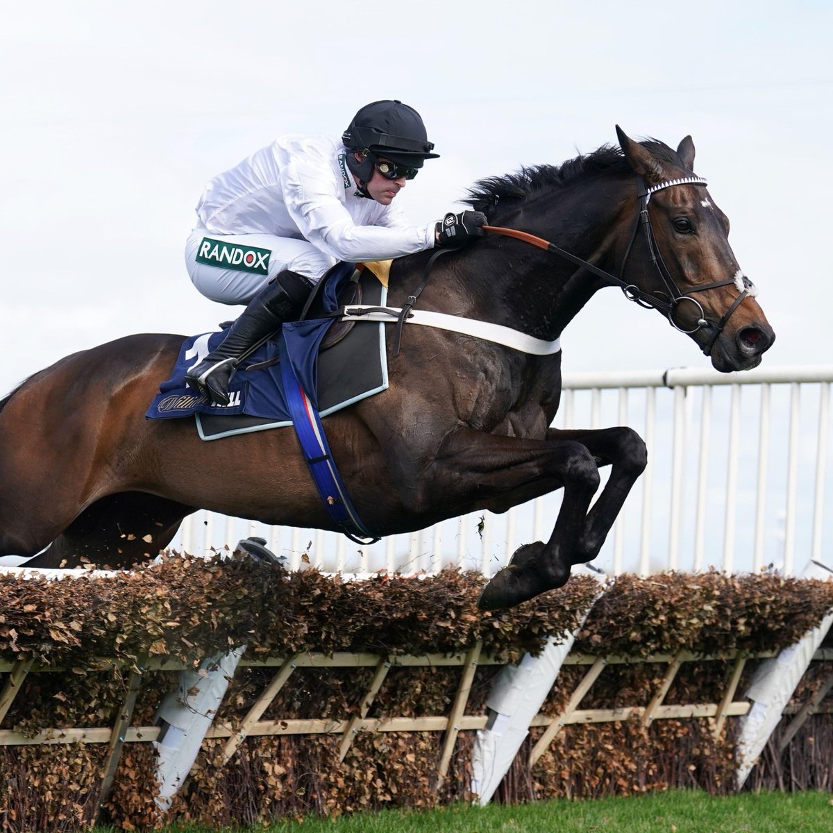 Nick Luck tweet media