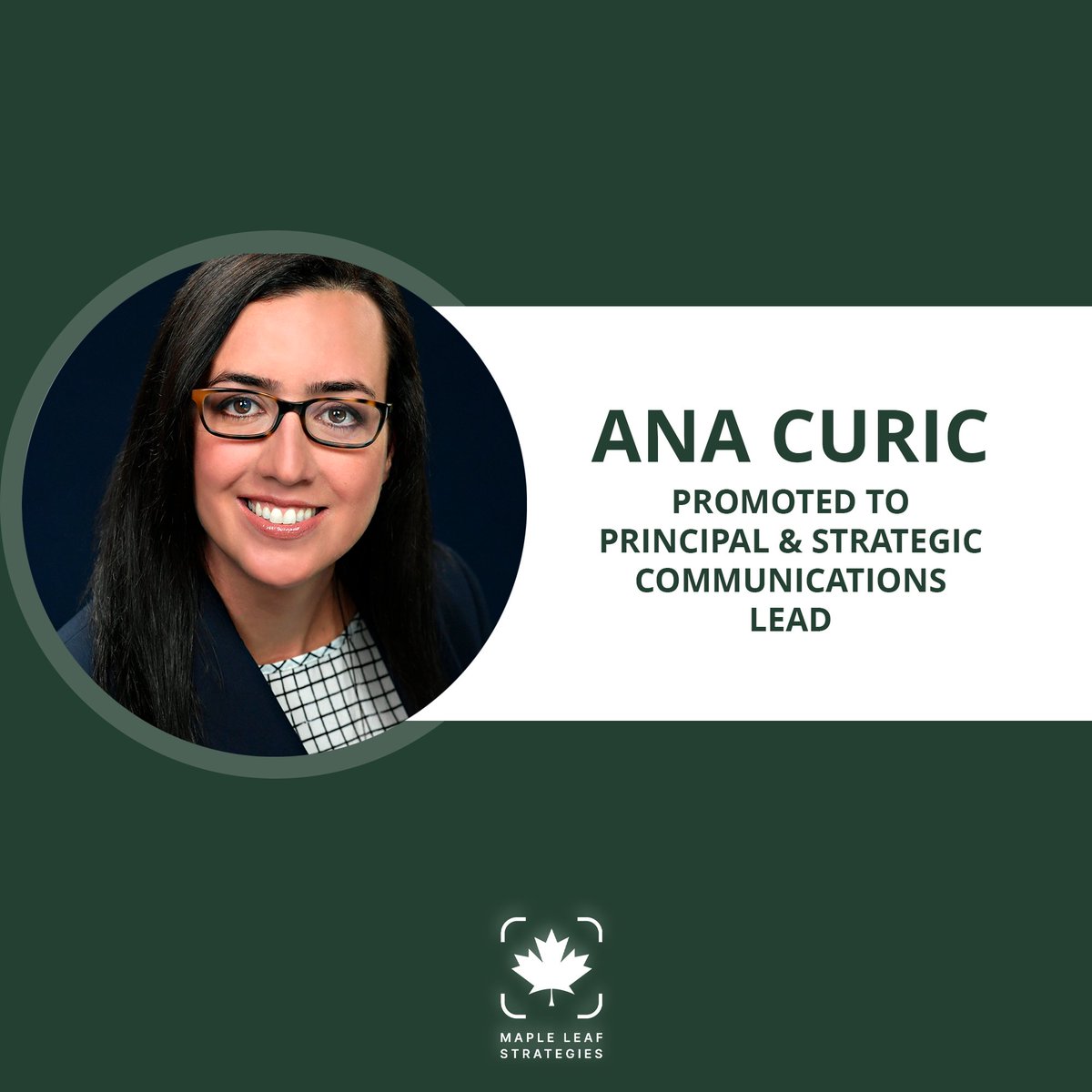 Maple Leaf Strategies tweet media