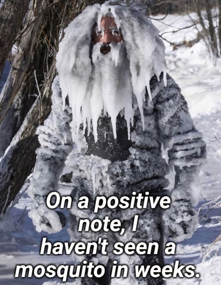 Is your Seasonal Affective Disorder kicking in? Then HR After Hours’ Baby It’s Cold Outside Mashup is just what the doctor ordered. Now available on Spotify, Apple, and your favorite streaming services.
❄️ hrafterhours.com ❄️
 
 #humanresources #springfever #humpdayhumor