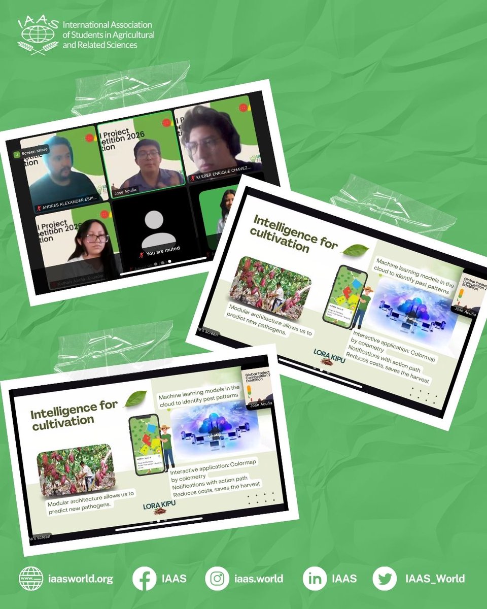 IAAS World tweet media