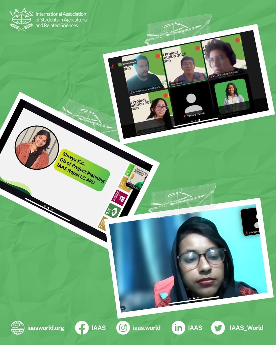 IAAS World tweet media