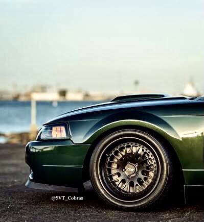 SVT_Cobras's tweet image. #WheelsWednesday | Great CCW wheels on the 2001 Dark Highland Green BULLITT…🖤
#Ford | #Mustang | #Bullitt