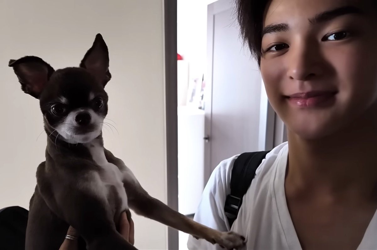 안건호♡쿠키
둘이 ㅈㅉ 닮음 😍😍