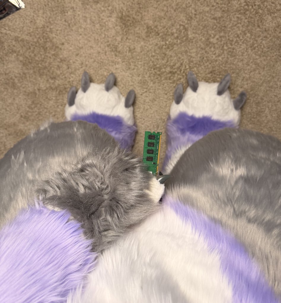 SnowZard 🔜 LVFC tweet media