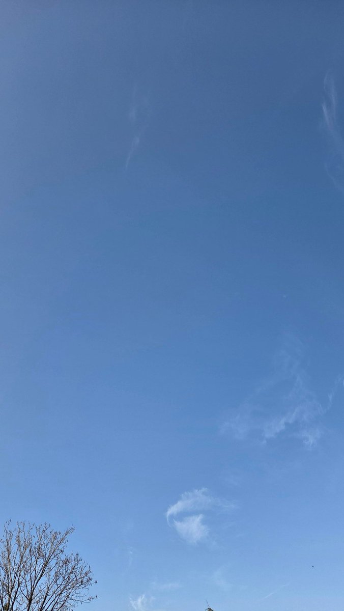 Oh, les sudistes, qu'est-ce que c'est ? Les gens du nord ne dites rien. <a href="/BenjiBurn/">BenjiBurn</a>