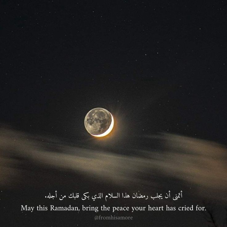 Ghamze Basset tweet media