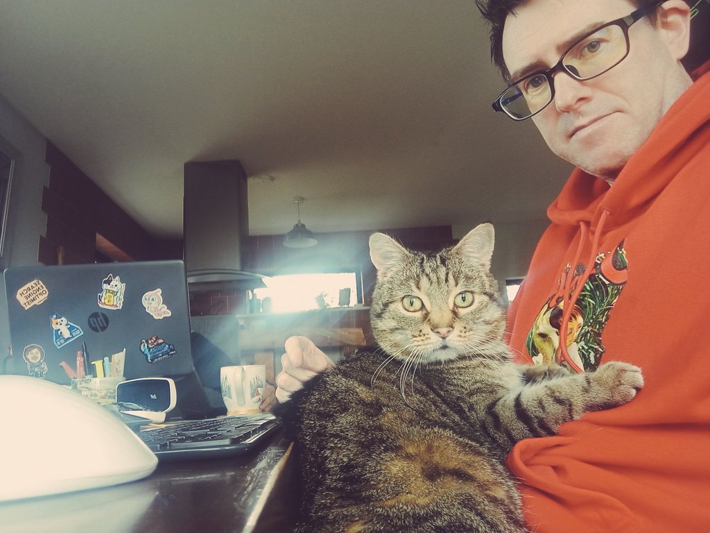 Trying to get some work done, but Kiji has other ideas. #Cats &amp; #SEO