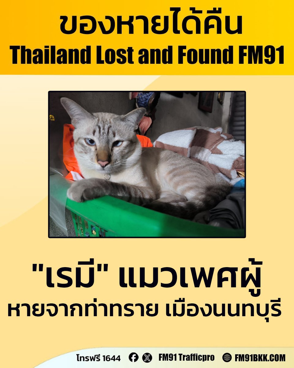 ตามหา "เรมี" แมวเพศผู้ ทำหมันแล้ว สีหมอก ลายสลิดครึ่งตัวหลัง ข้างบนเป็นสีขาวนวล อายุ 1 ปี 2 เดือน ตาหวานสีฟ้า ปลอกคอสีม่วง หายจากซอยทรายทอง 5 ใหม่ ต. ท่าทราย อ.เมือง จ.นนทบุรี ก่อนเที่ยง วันที่ 2 ม.ค. 2569

พบเห็นติดต่อกลับที่หมายเลขโทรฟรี 1644 สวพ.FM91 ได้ตลอด 24 ชั่วโมง