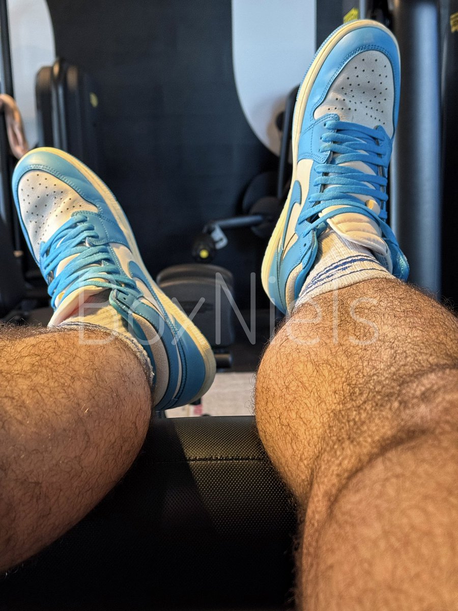 BoxNiels tweet media