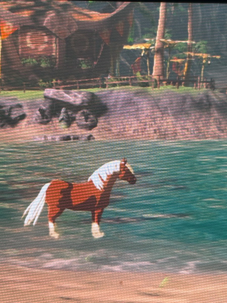 𖤓°･Carp･°𖤓 tweet media