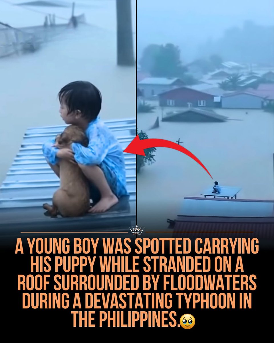 The World R🅰️nking (@worldranking_) on Twitter photo 