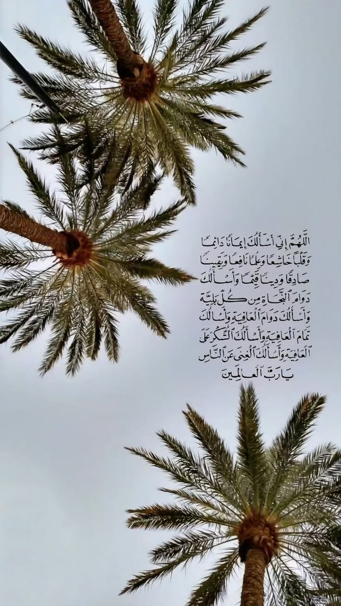 ii_shnn's tweet photo. https://t.co/4ERBRcXT0J
