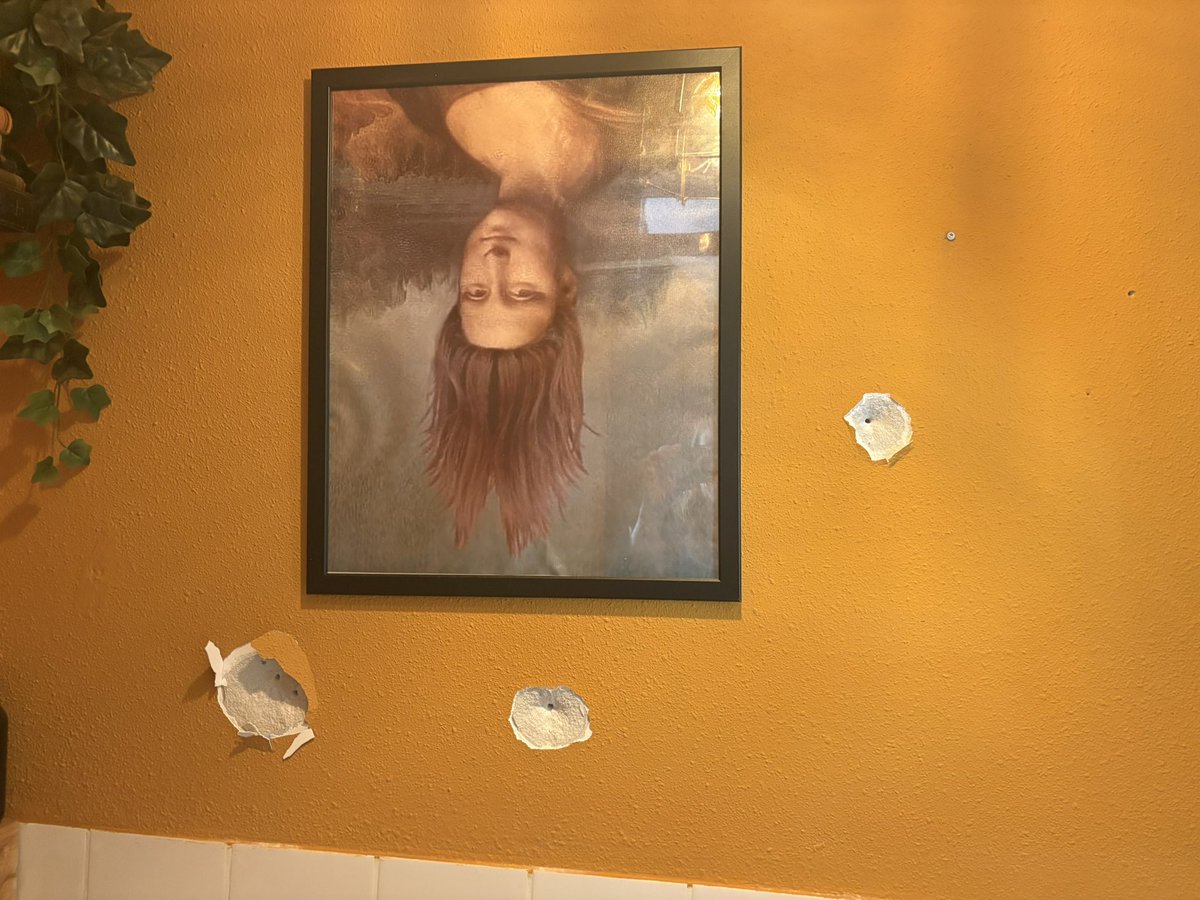 🦩Let🦩 tweet media