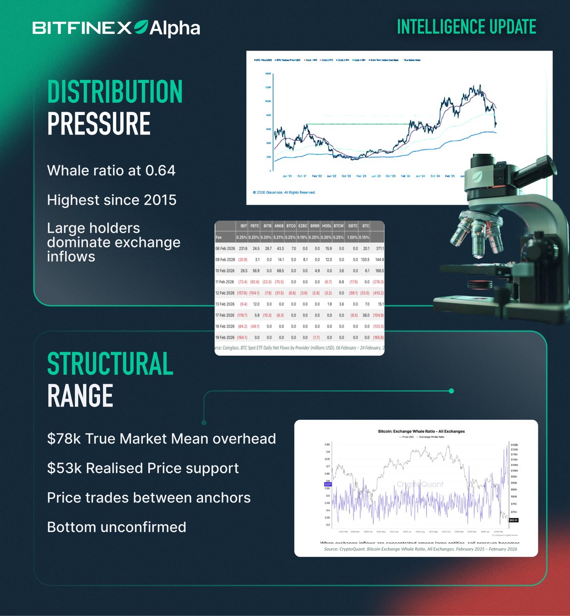 Bitfinex tweet media