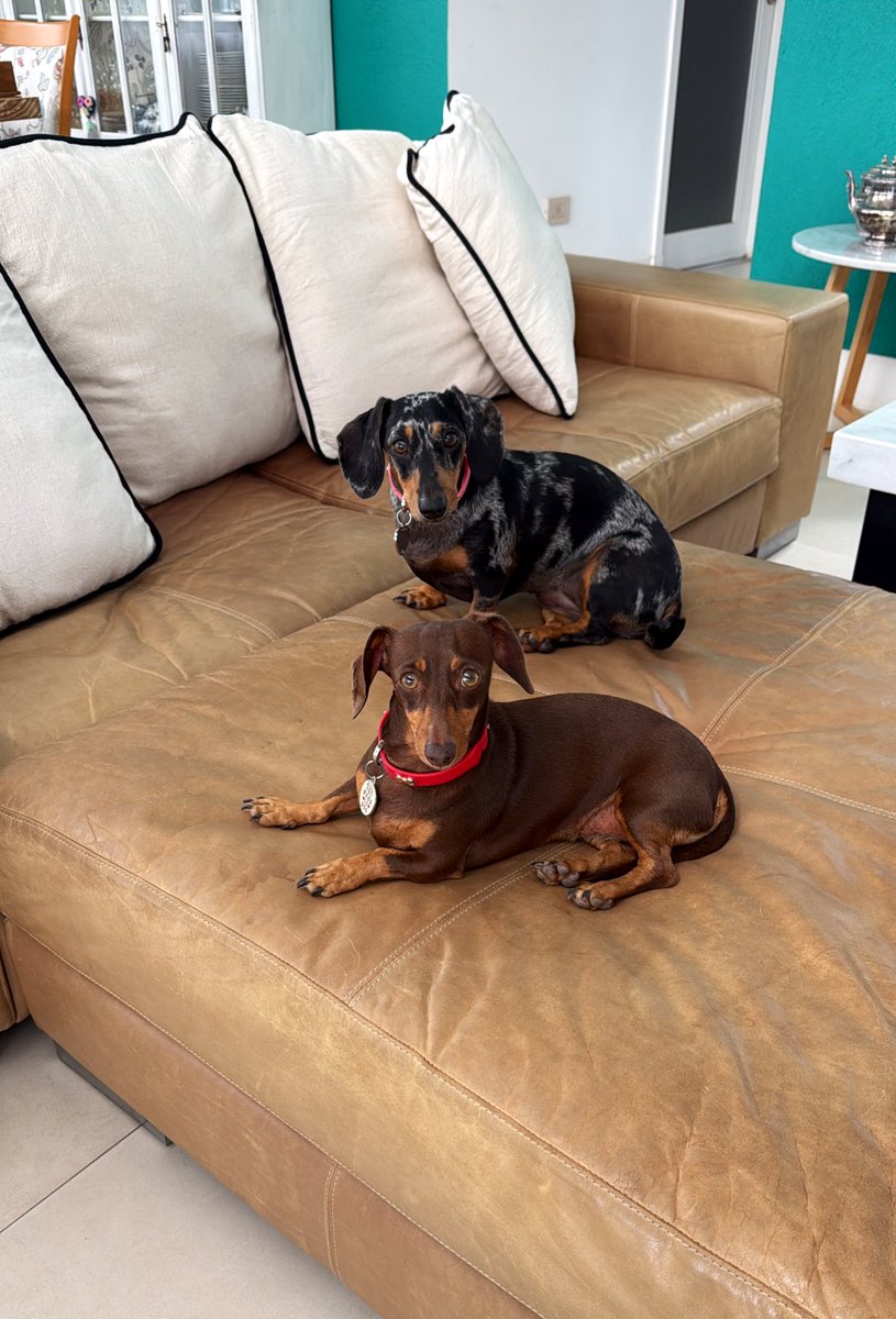 BLONDIE ™️🌟🦋¯\_(ツ)_/¯🦁🩵🤍🩵🙈🙉🙊 tweet media