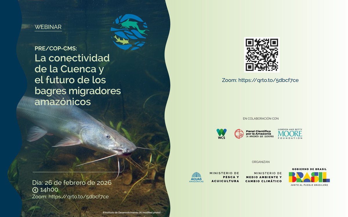 Aguas Amazónicas tweet media