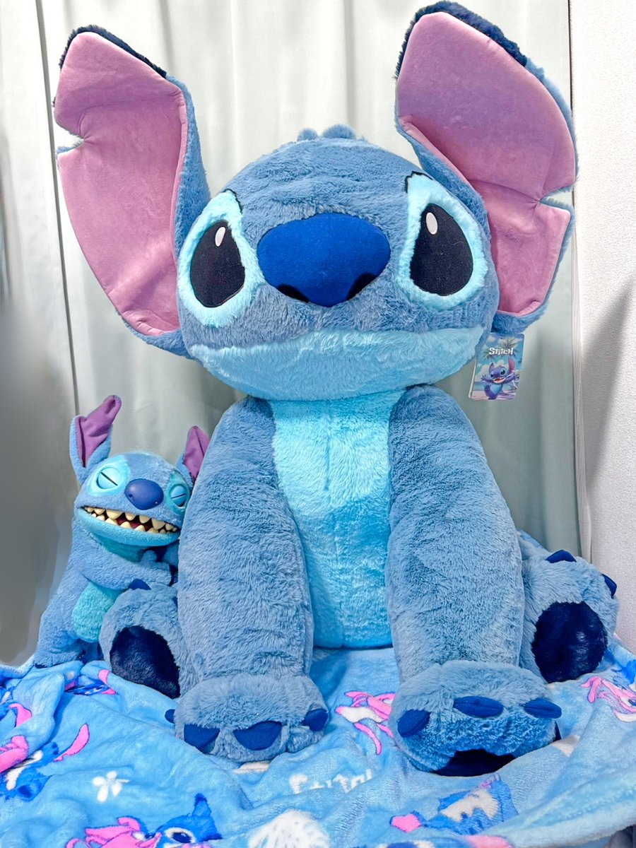 お友達の協力のおかげで、我が家にコストコの特大スティッチがやってき