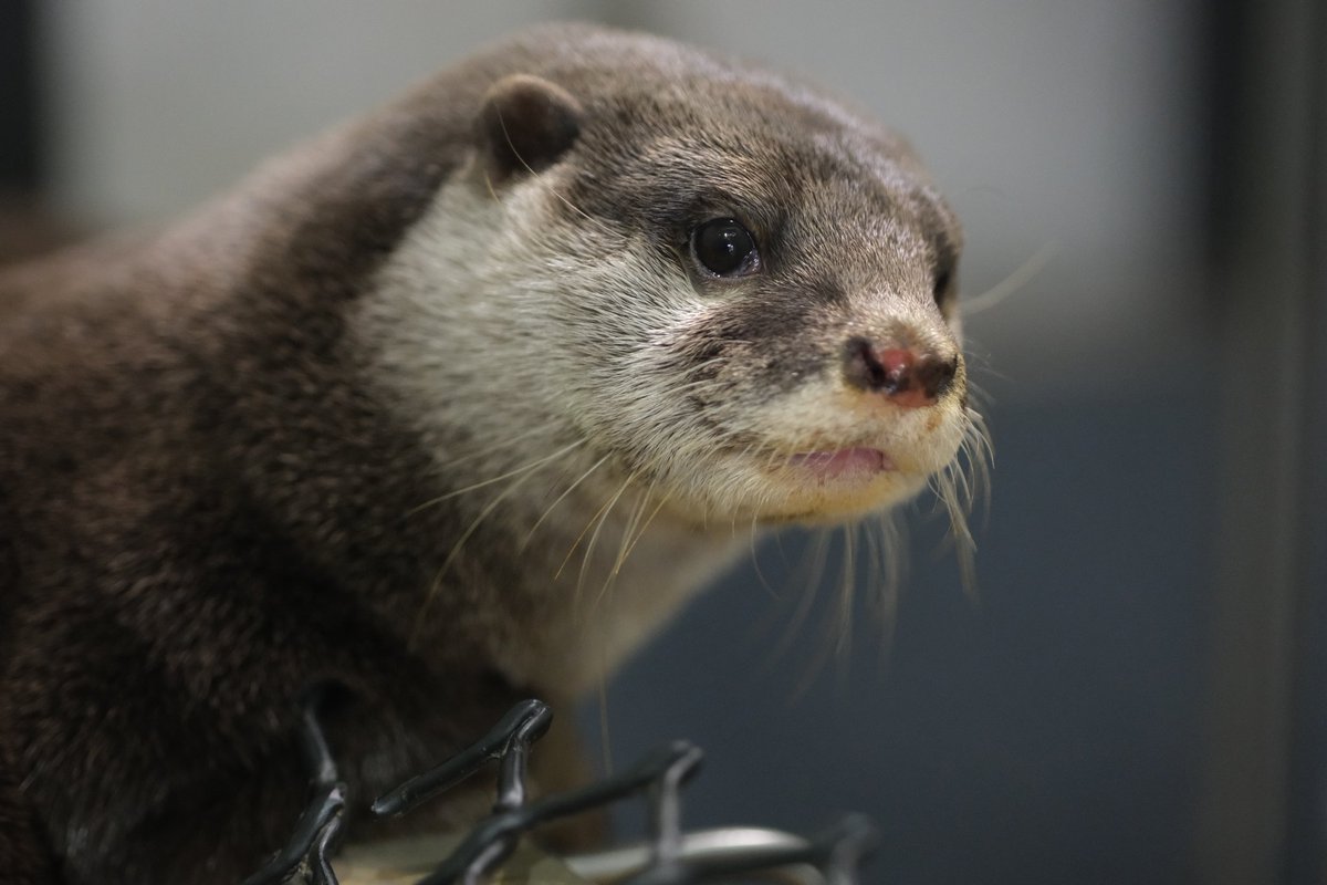 好きピ おやすみなさい💤 願うのは… 健やかで穏やかな日々 ※げんたのお