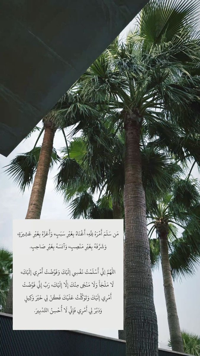 ii_shnn's tweet photo. https://t.co/ULWW78YCYa