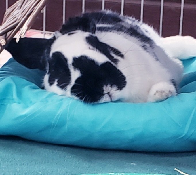 Tranquility Trail tweet media