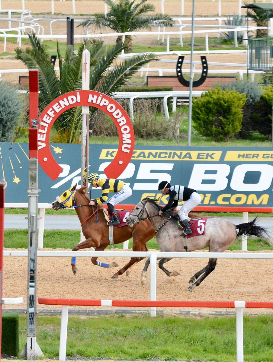 Aylar Geçer 
Yıllar Geçer
Herşey Değişir
Bozarslan Değişmez 💛💙🧿🙏
Aferin oğluma çok yürekli ve helal atsın senin yerinde başka at olsa sahaya gitmez ama sen herşeyini veriyorsun inaniyorum inşallah grup 1 apoletini alıp aygır olarak ülkemize uzun yıllar hizmet ediceğine 🙋‍♂️