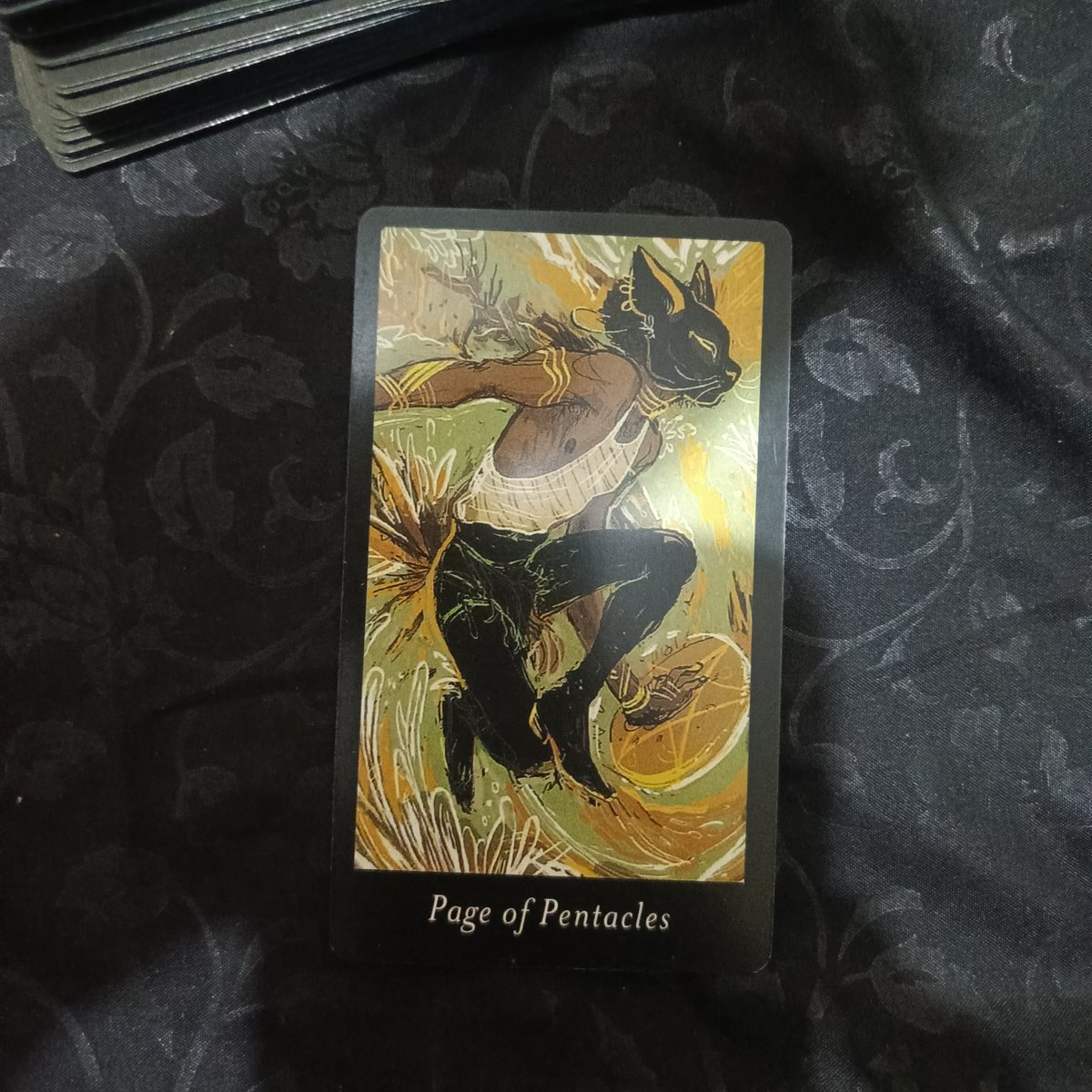 <a href="/midnightrosette/">Cipher, Tarot Reader.</a> Kayaknya ada sesuatu yang pengen kamu beli sejak lama, dan Malcolm di sini bilang: apalagi yang kamu tunggu?