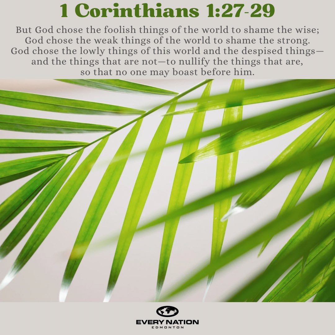 Every Nation Edmonton (@enedmonton) on Twitter photo 