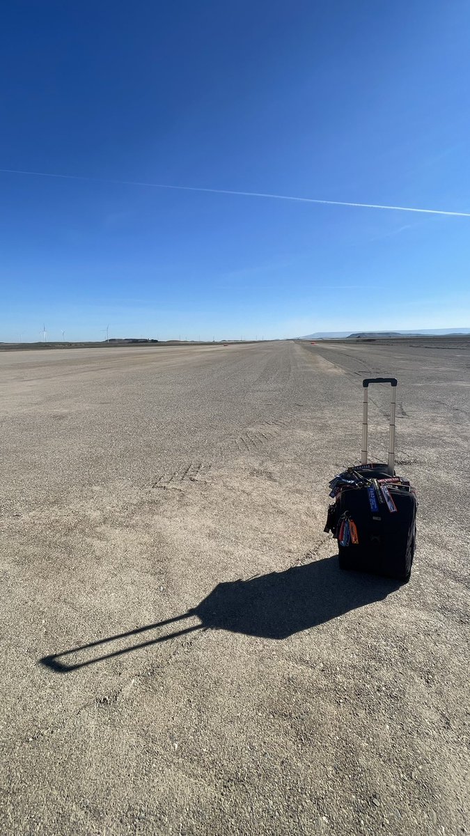 Alejandro De Prado tweet media