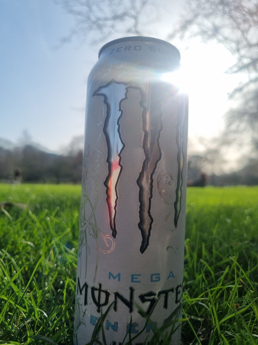 Treehugger_Actual ☮ (@treehugger_v2) on Twitter photo 