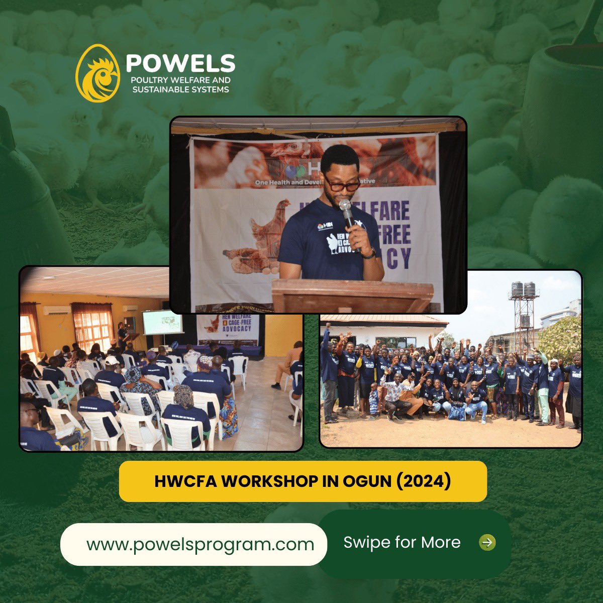 powelsprogram's tweet photo. OHDI’s Hen Welfare and Cage-Free Farming workshops (2024–2025) across Nigeria laid the foundation for Project POWELS, advancing humane, sustainable, and productive poultry systems.

Thread👇
https://t.co/tHZaLEY1zW https://t.co/O96faQH9Za
