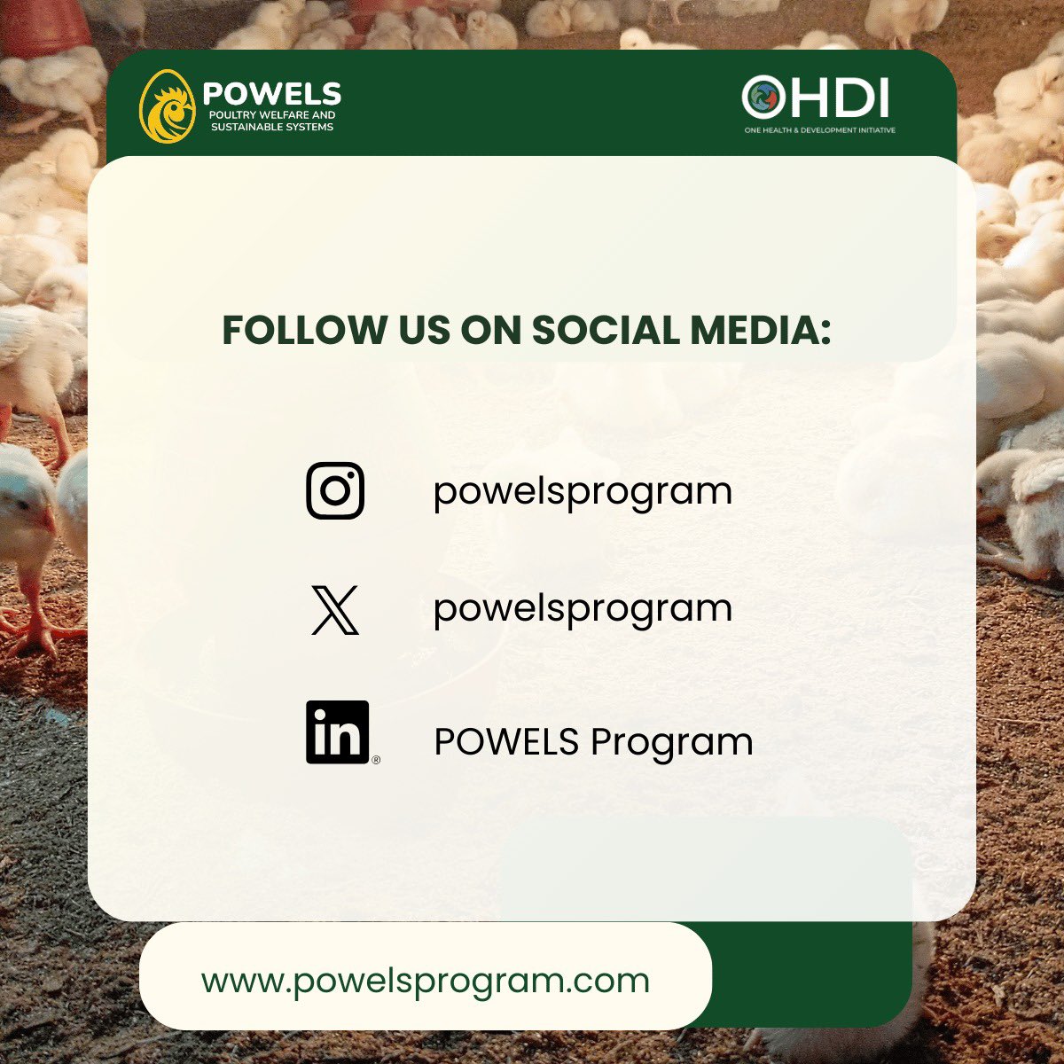 powelsprogram's tweet photo. https://t.co/ViibCT2OBH
