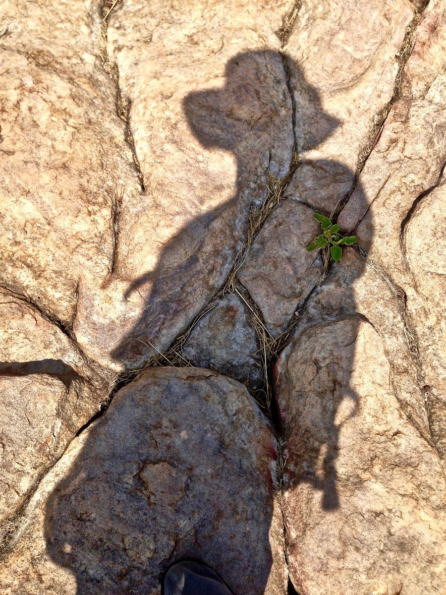 At play with shadows.  Kakadu NP, Australia.