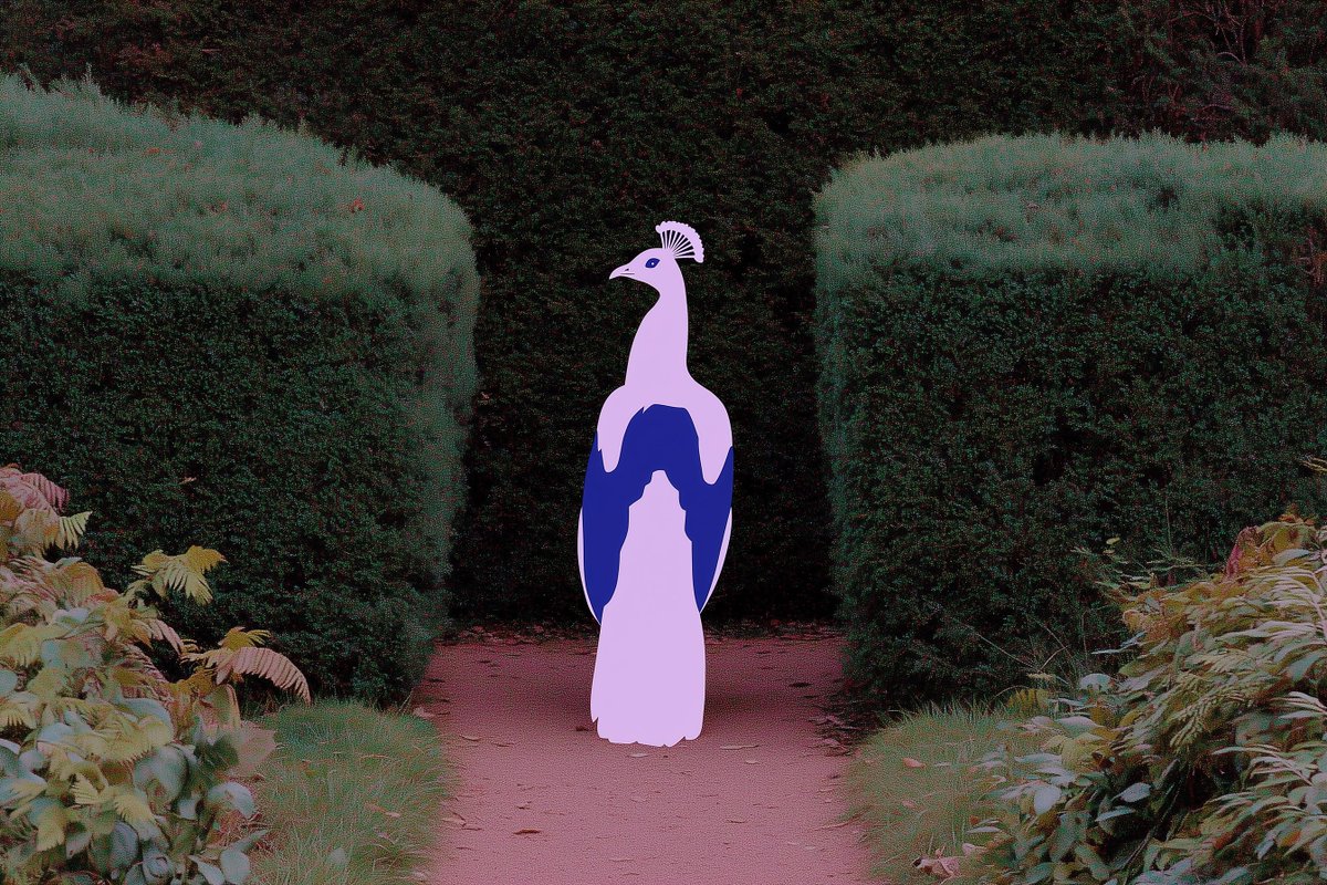 Blue pink wildlife set