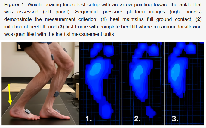 Biomech_MDPI's tweet photo. The study investigates the relationship between limited ankle dorsiflexion under load and compensatory movement patterns in the lower extremities of healthy adults. Link: https://t.co/9FnwuI7gsK
#Dorsiflexion #Compensation #LowerLimb #Kinematics #PlantarPressure #Gait #Mobility https://t.co/PQ8uNedXyw
