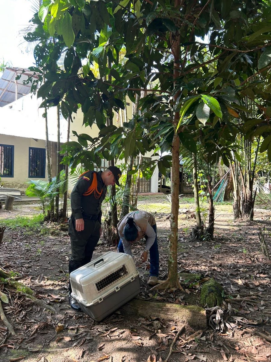 Corporación CDA tweet media