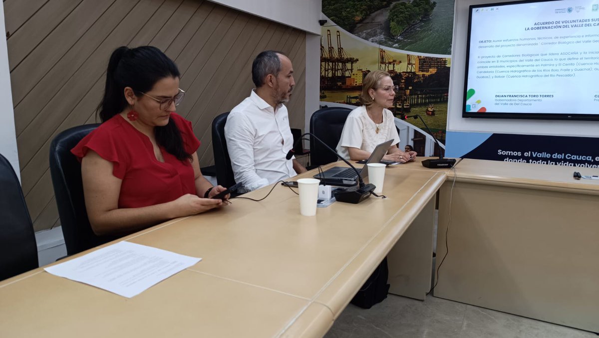 ValleVerde tweet media