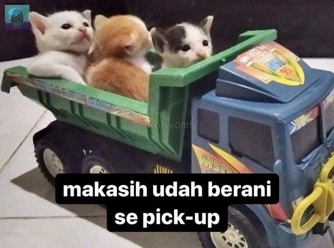 💚 bagi meme yang lucu² dong..