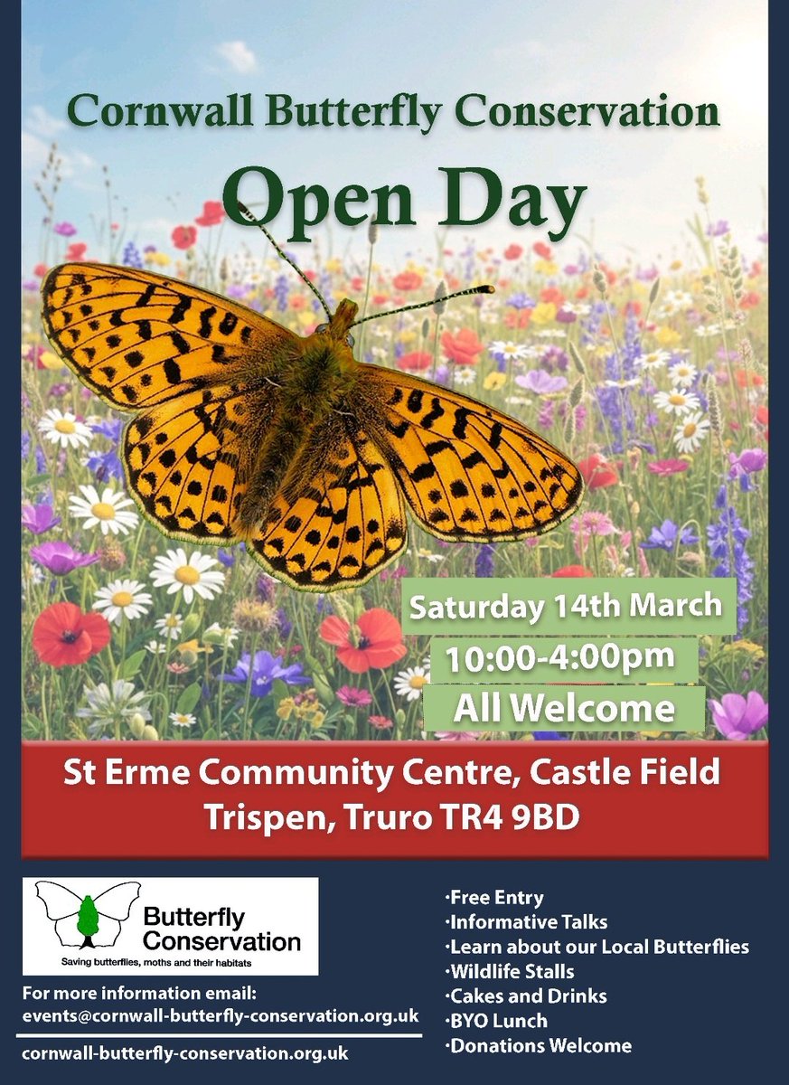 Cornwall Butterfly Conservation tweet media