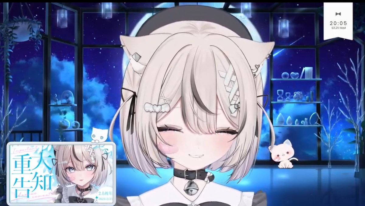 真白猫ミミィ #ましろねとよふかし ※配信URLはリプ欄へ 個人Vtuber