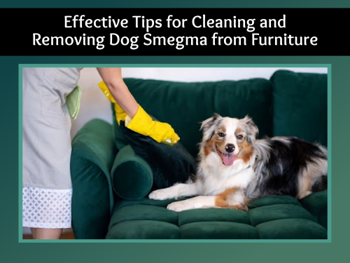 Lisa Taron tweet media