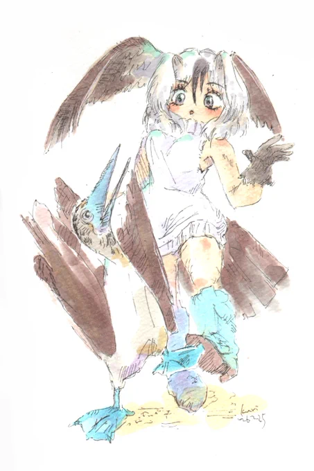 アオアシカツオドリ #けものフレンズ