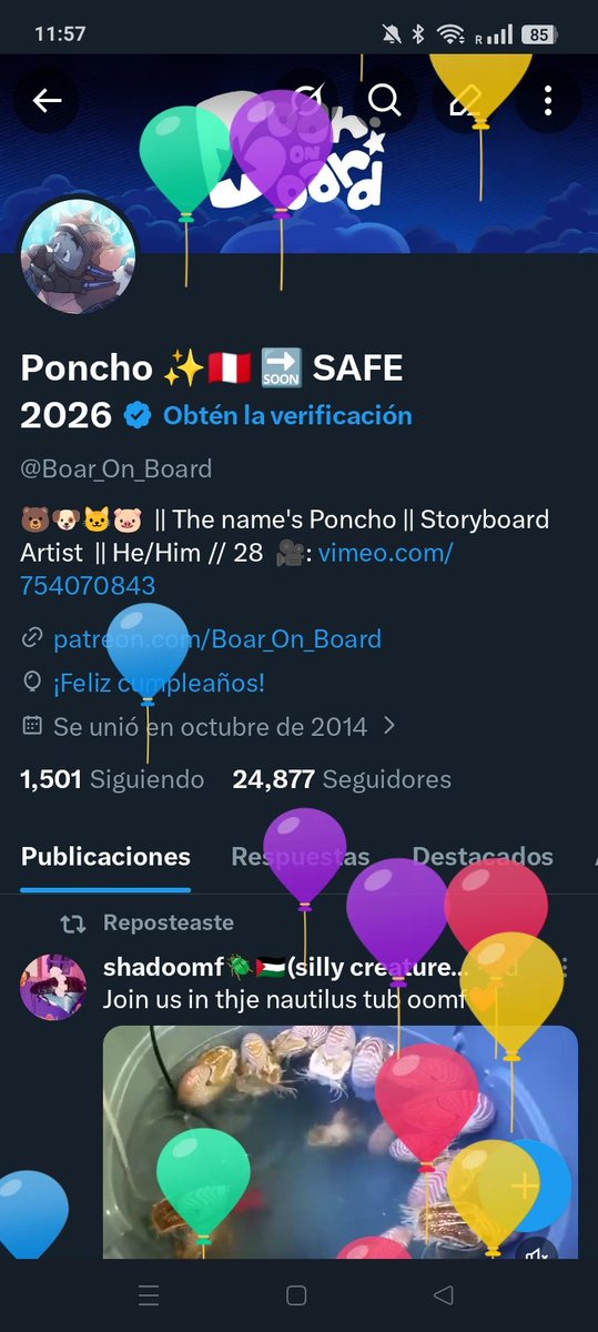 Poncho ✨🇵🇪 tweet media